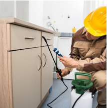 Wood Borer Treatment